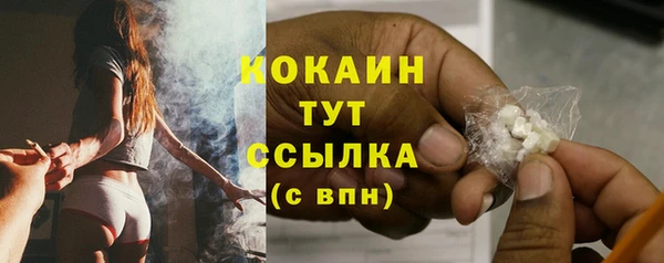 ПСИЛОЦИБИНОВЫЕ ГРИБЫ Каменка