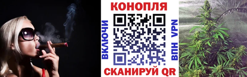 Купить где  Нижняя Тура  Каннабис индика 